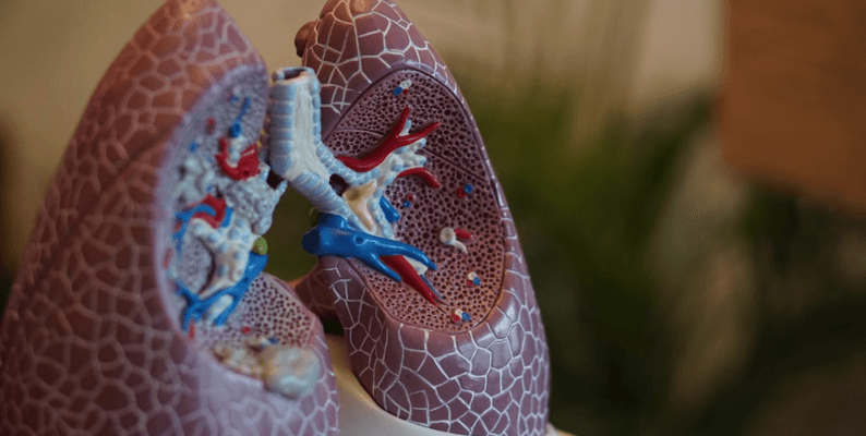 Lung Cancer Prediction